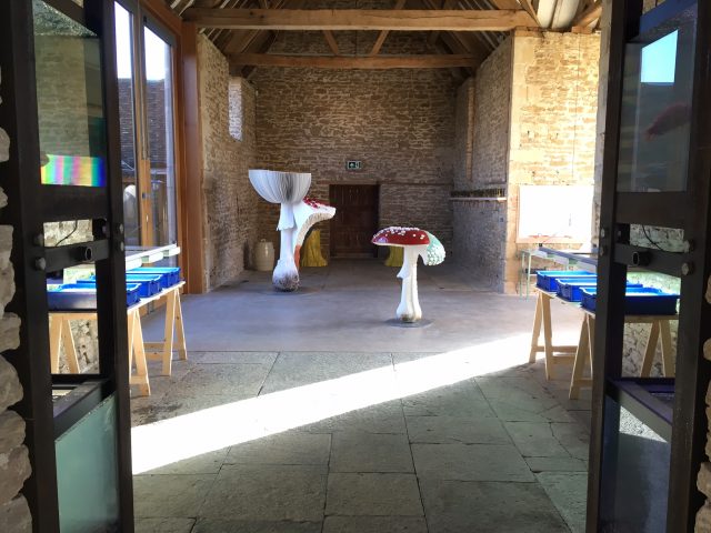 [Azolla Cultivations at Hauser & Wirth Somerset. Photo: Hauser & Wirth Somerset]